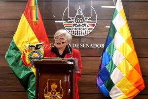 La senadora Silvia Salame alerta sobre elecciones judiciales