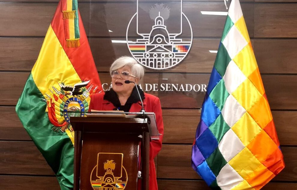 La senadora Silvia Salame alerta sobre elecciones judiciales