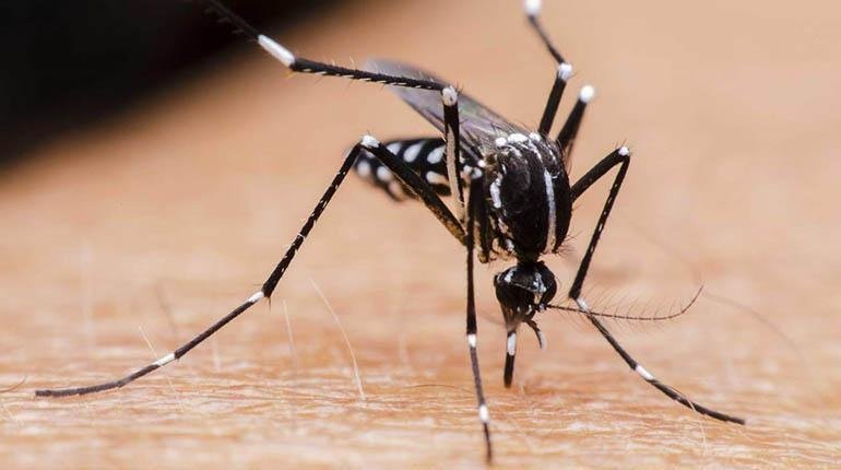 Casos de dengue en Oruro