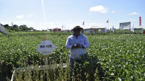 Exposoya 2023 ayuda a encontrar a los productores las nuevas tecnologías
