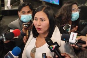 División en Creemos según Estefanía Morales