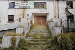 Árboles centenarios Hospital General afectados por proyecto