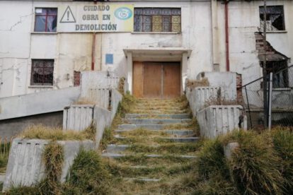 Árboles centenarios Hospital General afectados por proyecto