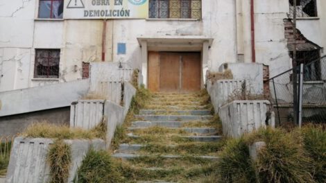 Árboles centenarios Hospital General afectados por proyecto
