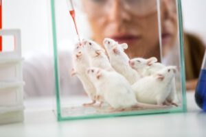 Óvulos a partir de células masculinas en ratones