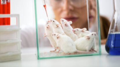 Óvulos a partir de células masculinas en ratones