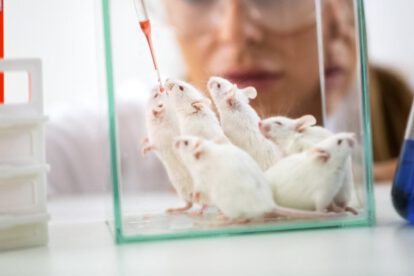 Óvulos a partir de células masculinas en ratones