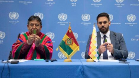 Gobierno pide a la ONU no criminalizar a productores de la hoja de coca
