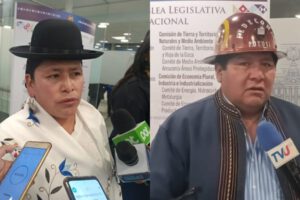 Huelga de hambre en Potosí por legisladores del MAS
