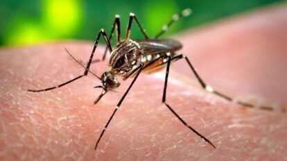 Casos de dengue en Oruro