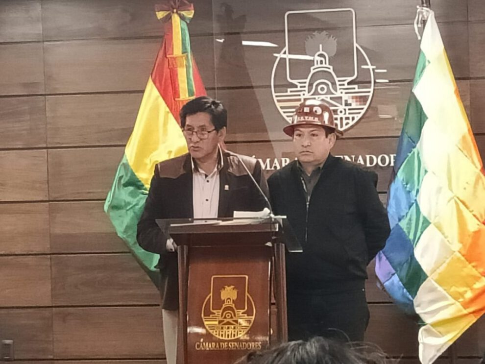 Proyectos para Potosí en la Cámara Alta
