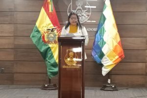 Regulación de cuentas e información falsa por Nely Gallo