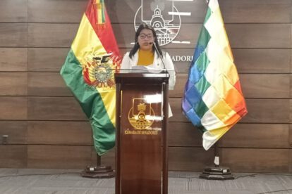 Regulación de cuentas e información falsa por Nely Gallo