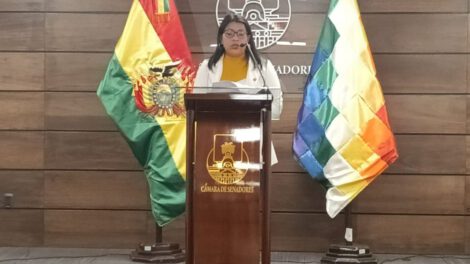 Regulación de cuentas e información falsa por Nely Gallo