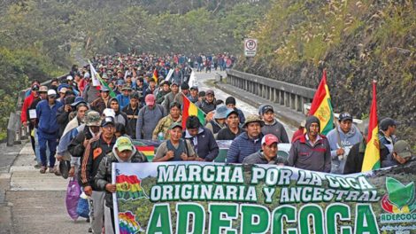 Marcha de los cocaleros de Adepcoca por la libertad de César Apaza