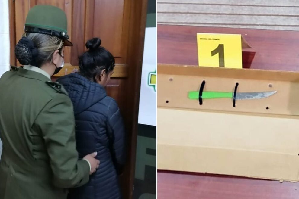 Mujer mató a su pareja en defensa propia