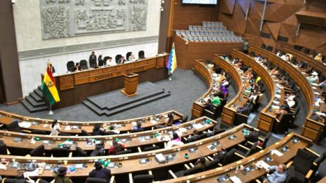 Las elecciones judiciales en Bolivia según el reglamento aprobado por el MAS