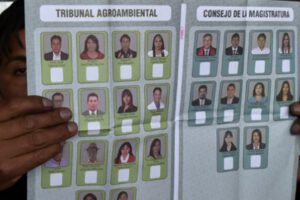 Elecciones judiciales: Papeleta de voto de las elecciones judiciales
