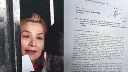 Añez denuncia vulneraciones en carta a la CIDH