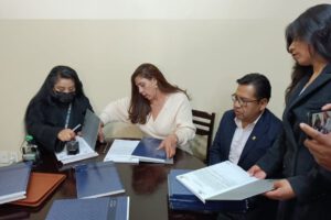 Admisión de documentos para autoridades judiciales