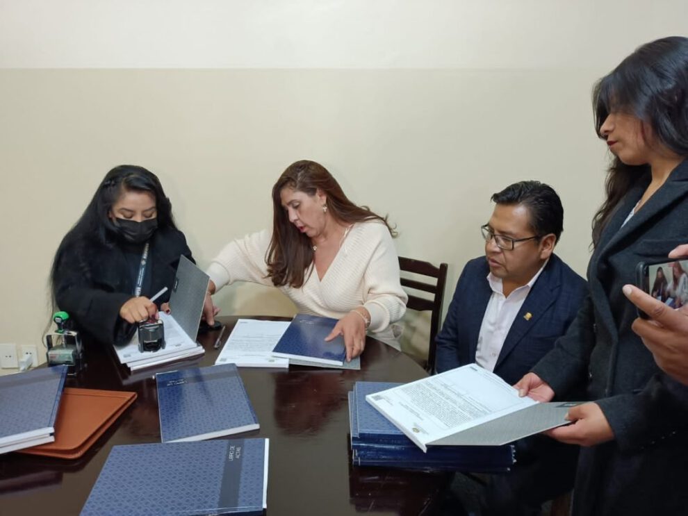 Admisión de documentos para autoridades judiciales