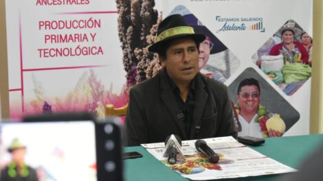 inversión en quinua por el Gobierno de Bolivia