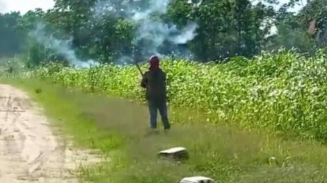 Legisladores cuestionan cumplimiento de normas en Santagro