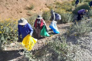 Limpieza en los arenales de Cochiraya