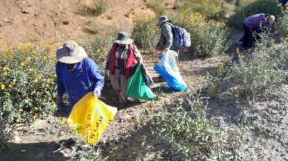 Limpieza en los arenales de Cochiraya
