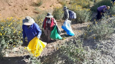 Limpieza en los arenales de Cochiraya