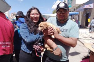 Adopción de mascotas promovida por Cemzoor