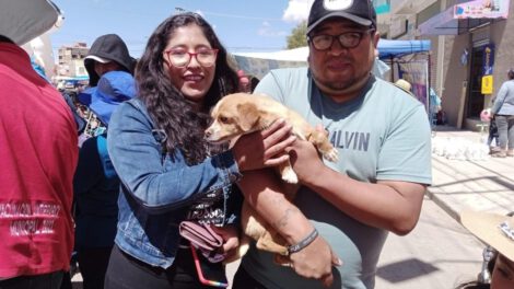 Adopción de mascotas promovida por Cemzoor