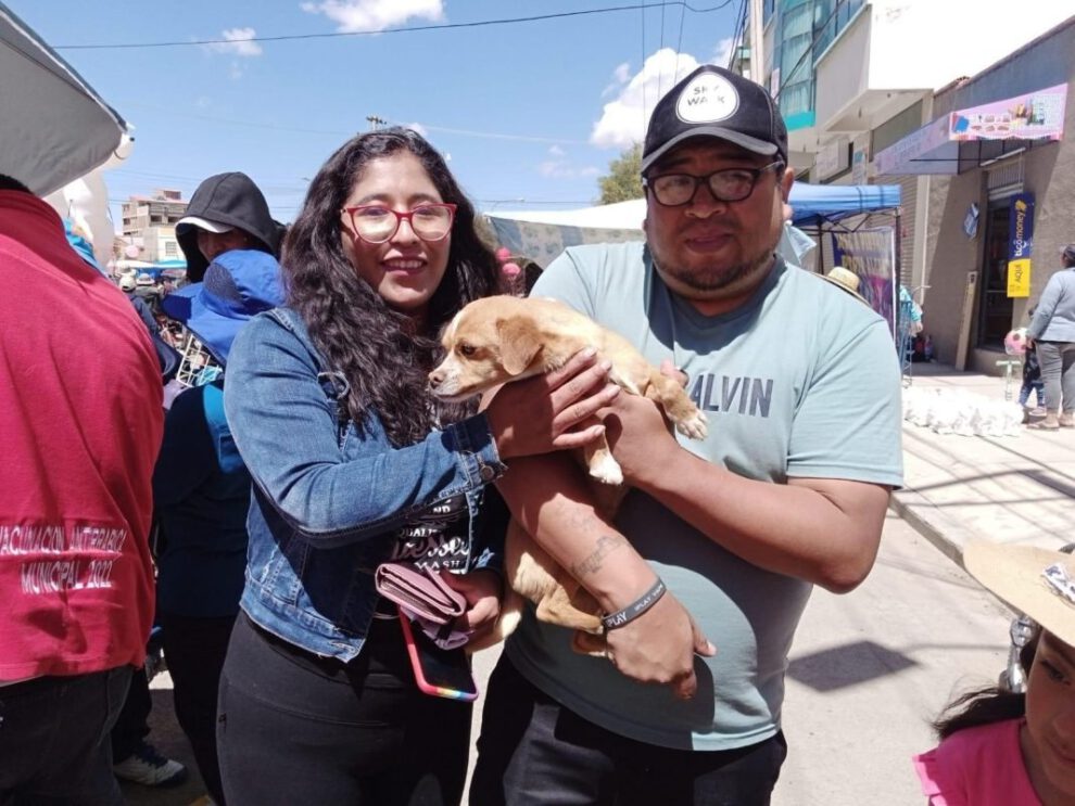 Adopción de mascotas promovida por Cemzoor