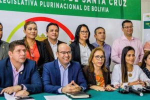 Libertad de expresión en el contexto del artículo 281 del proyecto de ley 305