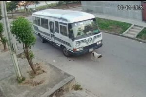 Aprehenden a micrero tras atropellar un can
