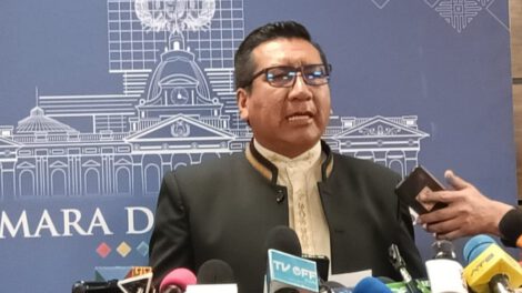 El diputado del MAS, Freddy Mamani, pide unidad en el partido