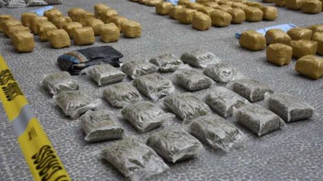 Incautación de droga por la Felcn