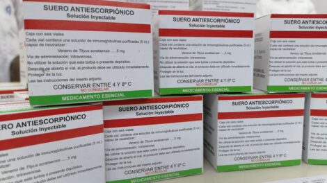 Antídoto para el veneno de alacrán presentado por el Gobierno de Bolivia
