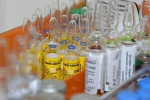 Fiebre amarilla en Santa Cruz