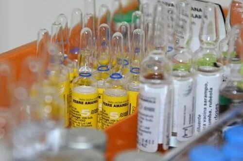 Fiebre amarilla en Santa Cruz