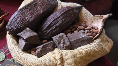 Exportación de cacao boliviano a las mejores chocolaterías del mundo