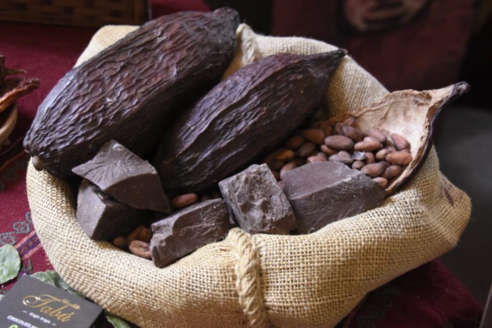 Exportación de cacao boliviano a las mejores chocolaterías del mundo