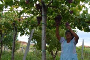 Ecofuturo Tarija celebra 206 años y 7.480 operaciones en créditos