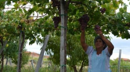 Ecofuturo Tarija celebra 206 años y 7.480 operaciones en créditos
