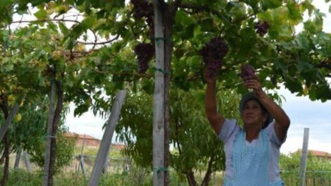 Ecofuturo Tarija celebra 206 años y 7.480 operaciones en créditos