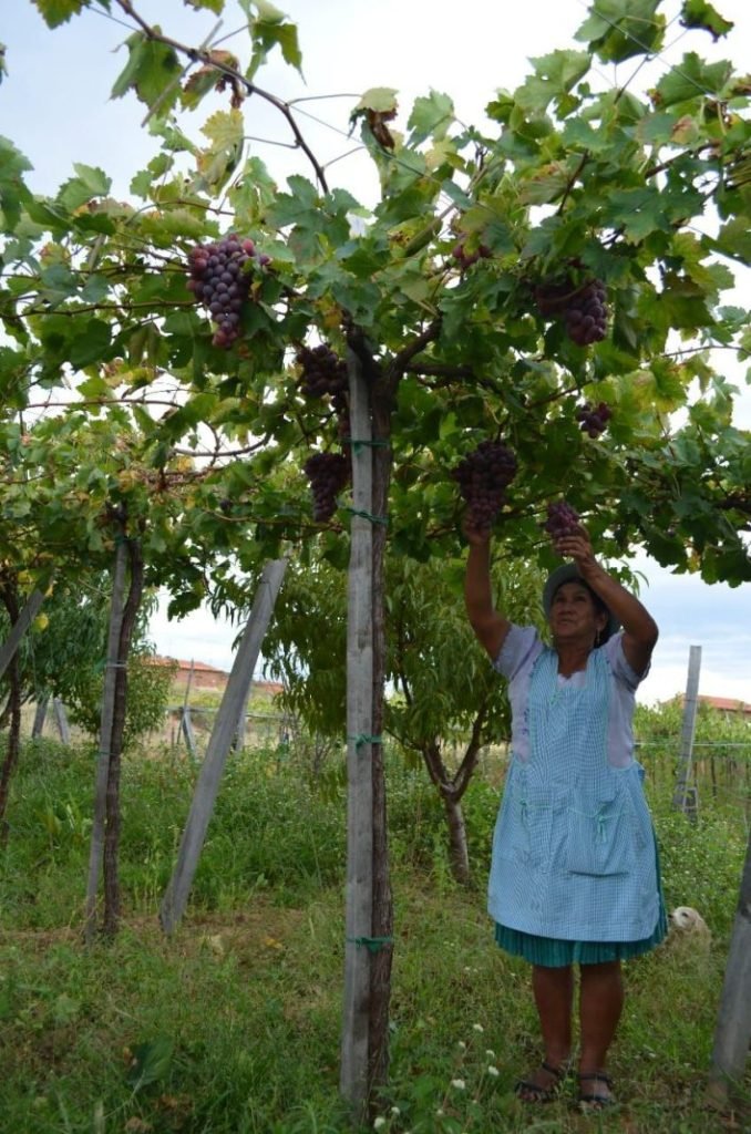 Ecofuturo Tarija celebra 206 años y 7.480 operaciones en créditos