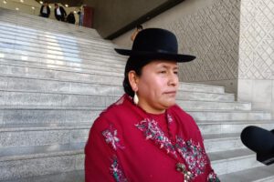 La senadora Virginia Velasco cuestiona a sus colegas sobre la falta de normas en el legislativo