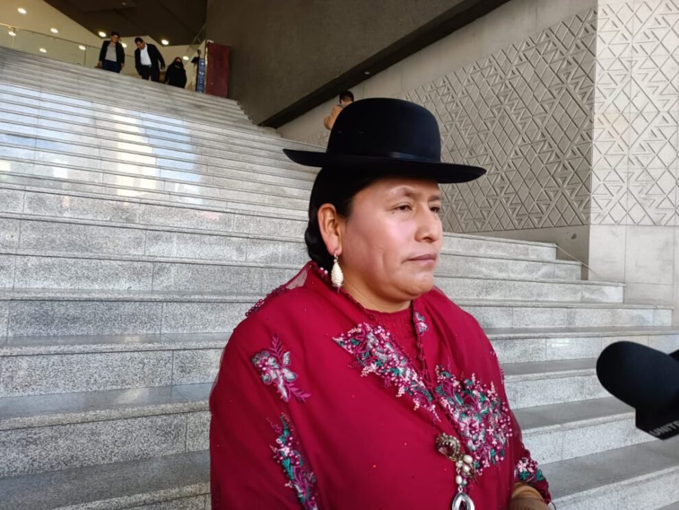 La senadora Virginia Velasco cuestiona a sus colegas sobre la falta de normas en el legislativo