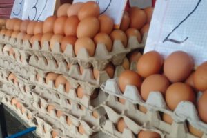 Incremento del precio del huevo