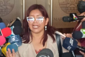 La senadora del MAS, Elena Aguilar, critica a Luis Arce por contradicciones en Potosí
